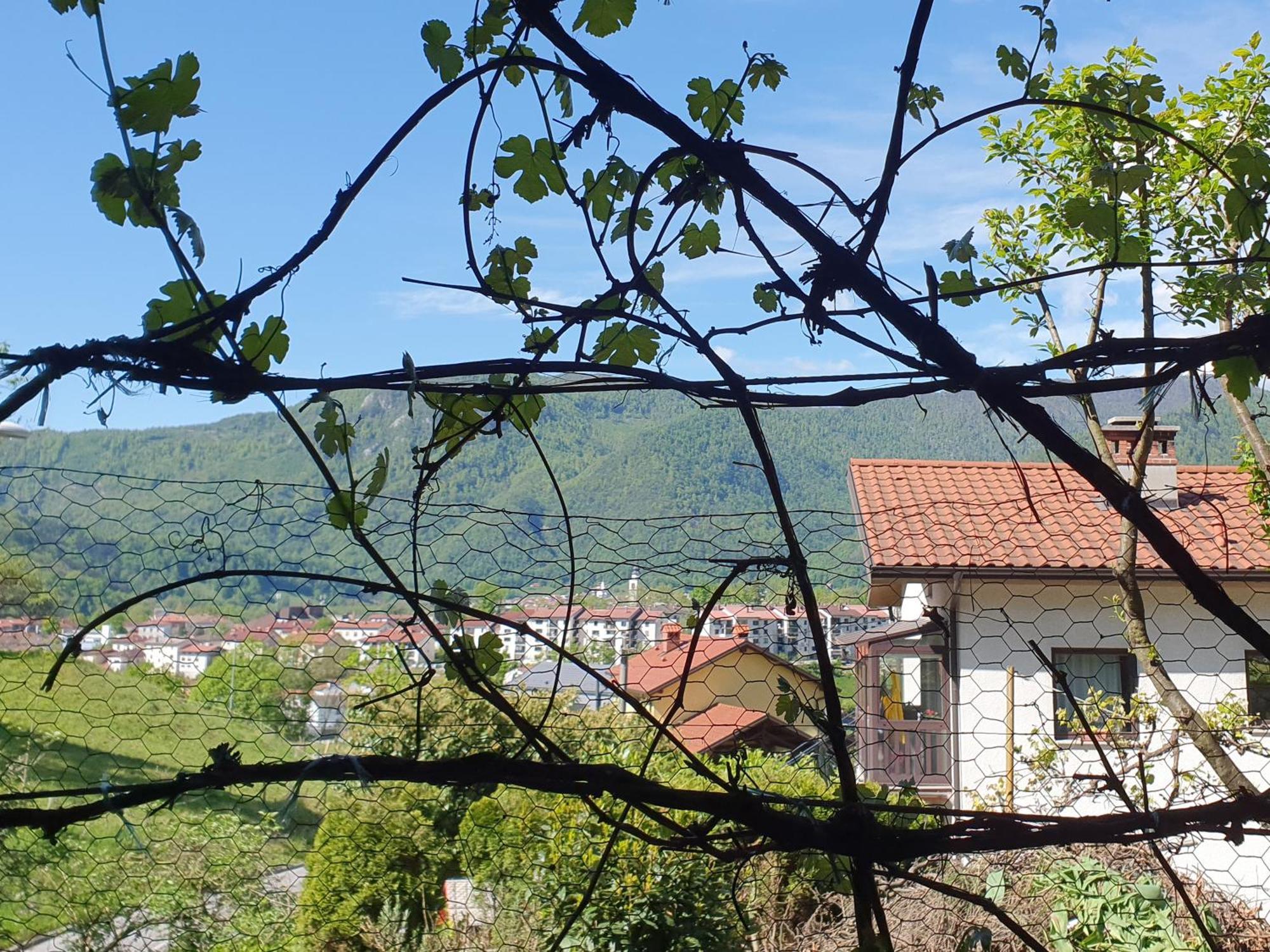 Apartment With Terrace Nona Pavla Tolmin Extérieur photo